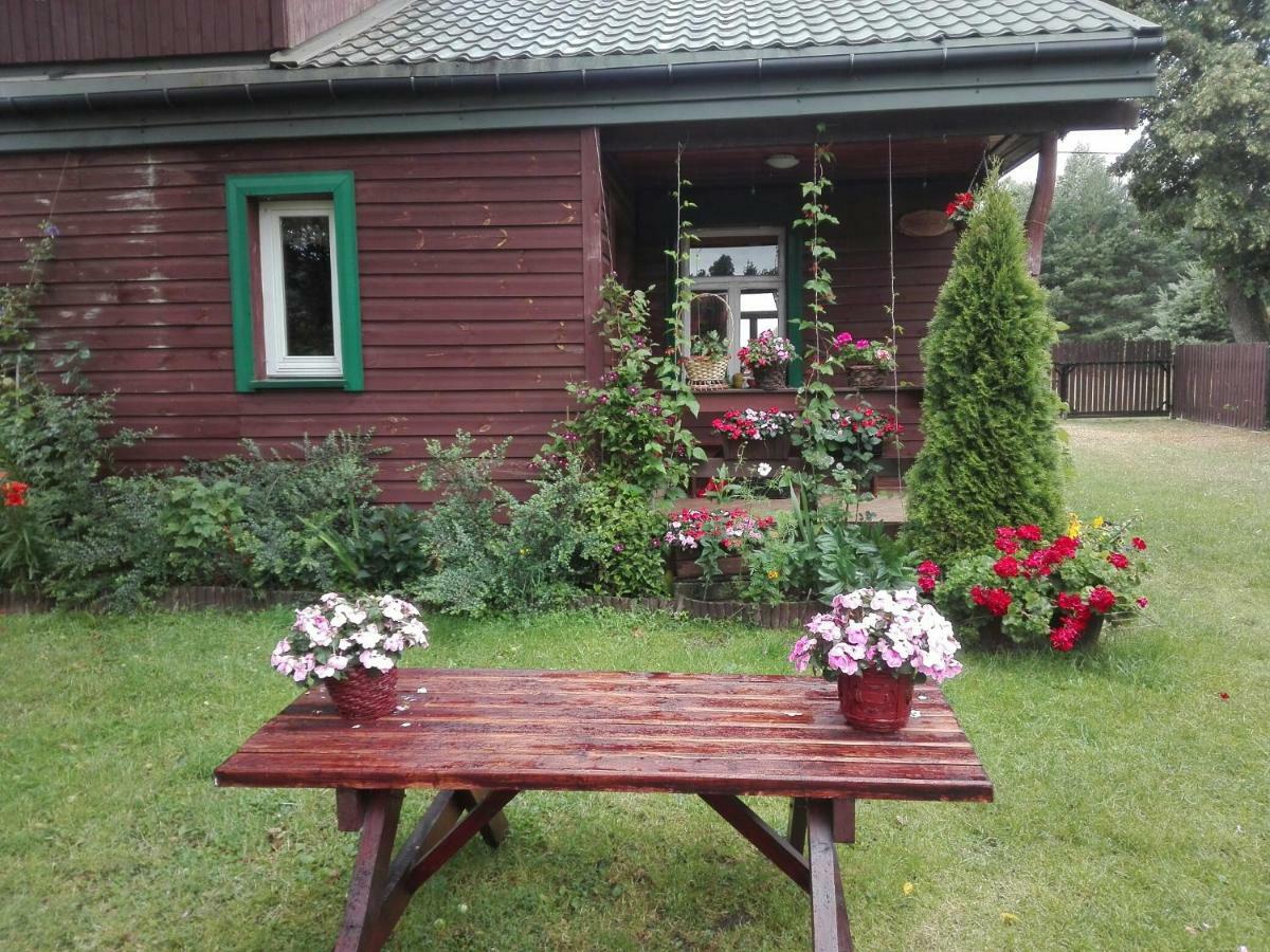 Dom Na Skraju Puszczy Bialowieskiej Narewka Екстериор снимка